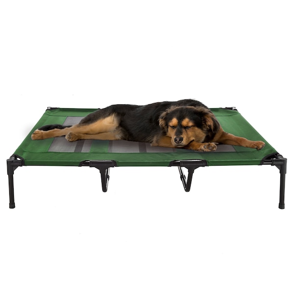Pet Adobe Elevated Portable Pet Bed Cot-Style 48x35.5x9 in for Dogs and Small Pets, Indoor/Outdoor Green 642010SAI - main